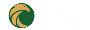 Falchy